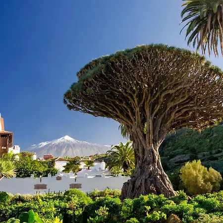 Eden Duke-paradise Jacuzzi Terrace Retreat Costa Adeje (Tenerife)